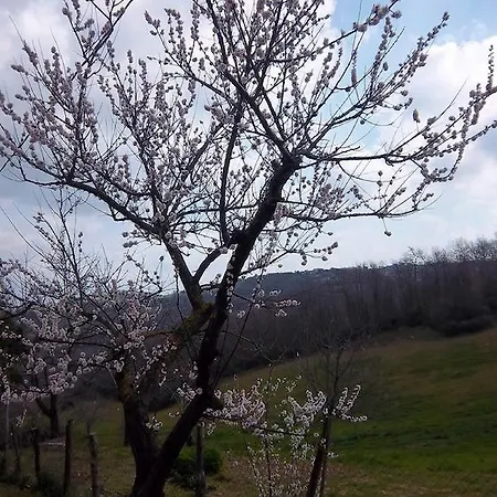 Séjour à la campagne Norianino