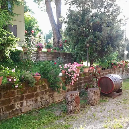 Norianino