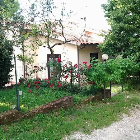 Norianino
